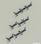  DSC4835