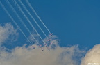  DSC5530