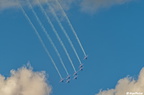  DSC5531