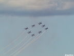  DSC5545
