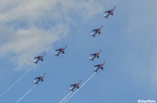  DSC5594