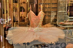 DSC8876