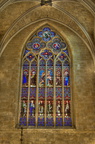  DSC2900