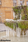  DSC2695