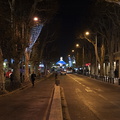  DSC2115