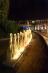 DSC0710