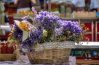  DSC0035