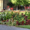  DSC0928