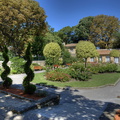  DSC9246