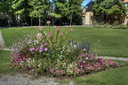  DSC9250