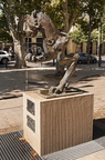  DSC8697