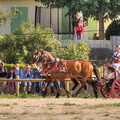  DSC2127