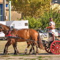  DSC2151