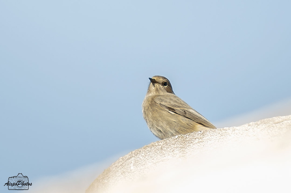 _D035183.jpg