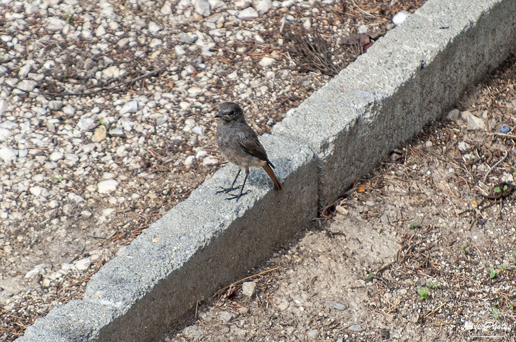_D038320.jpg