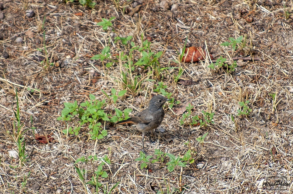 _D038330.jpg