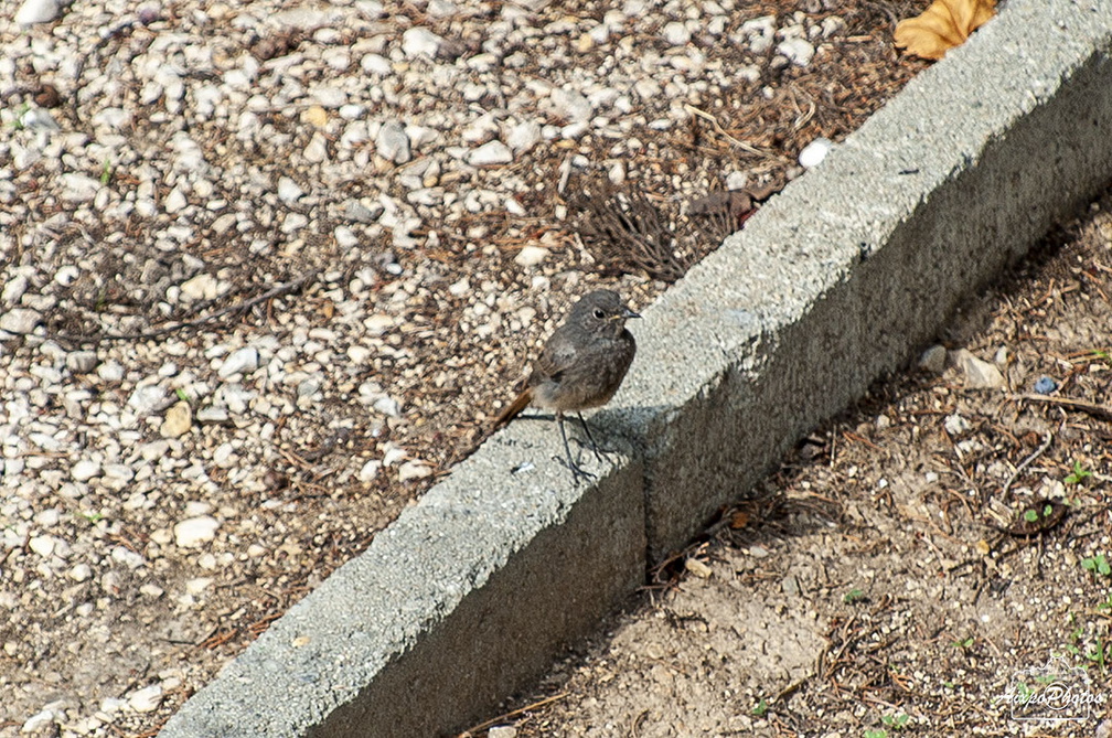 _D038441.jpg
