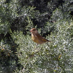  D707430