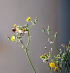  D701223