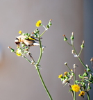  D701224