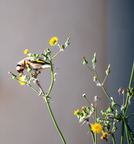  D701225