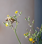  D701226
