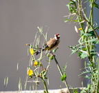  D701236