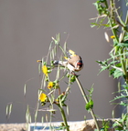  D701237