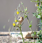  D701255