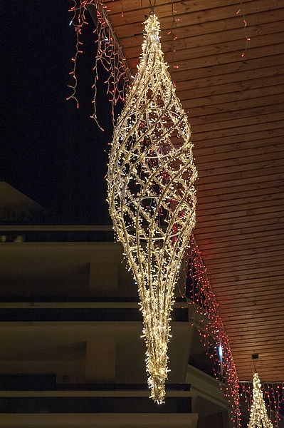 _DSC2158.jpg