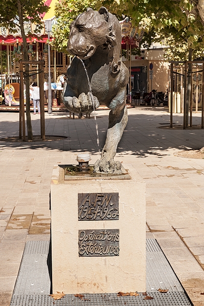 _DSC8695.jpg