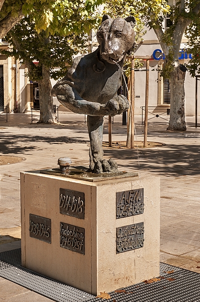 _DSC8696.jpg